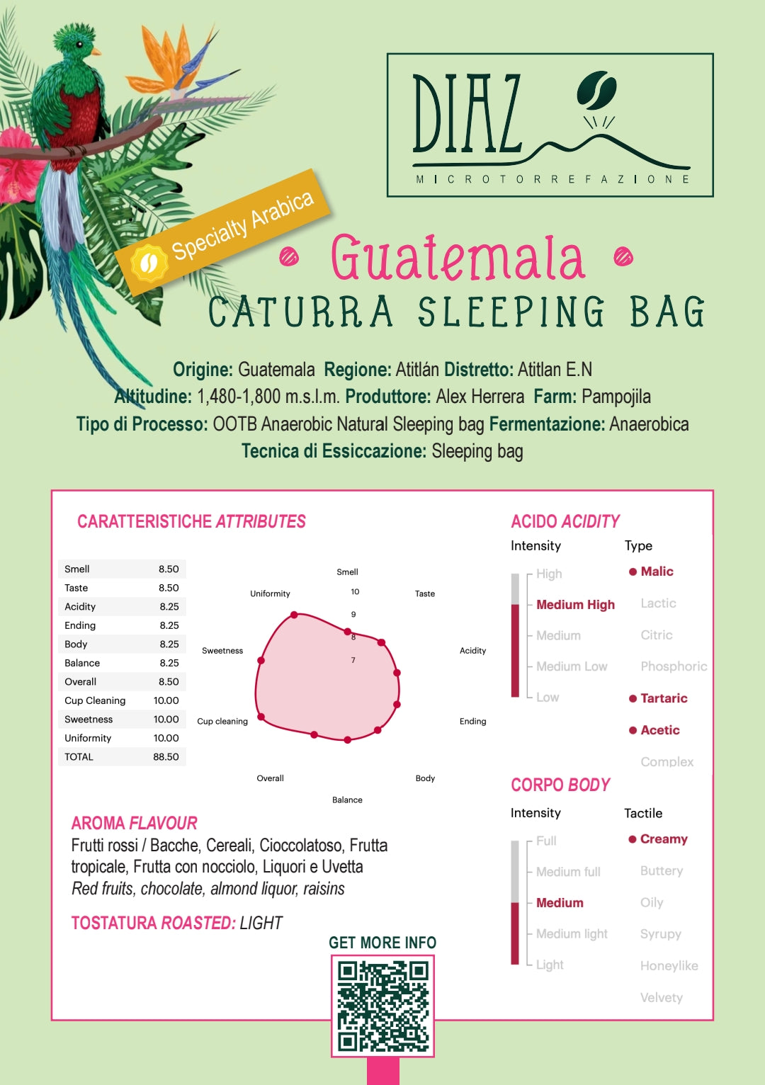Guatemala Caturra
